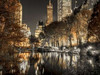 Evening view of Central Park in New York City Poster Print by  Assaf Frank - Item # VARPDXAF201311191685C02