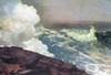 Northeaster Poster Print by  Winslow Homer - Item # VARPDX373243