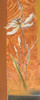 Fancy Floral II Poster Print by Patricia Pinto - Item # VARPDX7935
