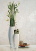 Bamboo in white vase II Poster Print by Renee - Item # VARPDXMLV154