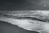 Moonrise Beach Black and White Poster Print by Sue Schlabach - Item # VARPDX21221