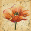 Poppy III Poster Print by Patricia Pinto - Item # VARPDX9441A