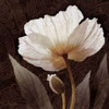 Paisley Poppy I Poster Print by Keith Mallett - Item # VARPDX18032