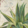Aloe I Poster Print by Patricia Pinto - Item # VARPDX7355
