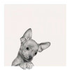 Sweet Chihuahua Poster Print by Jon Bertelli - Item # VARPDXB3201D