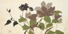 Spring Shadows II Poster Print by Patricia Pinto - Item # VARPDX7350