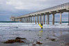 Scripps Pier I Poster Print by Lee Peterson - Item # VARPDXPSPSN196