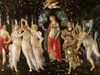 Primavera Poster Print by Sandro Botticelli - Item # VARPDX3SB142