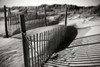 Dunes Fence IV Poster Print by Alan Hausenflock - Item # VARPDXPSHSF1209
