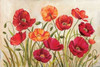 Poppies Poster Print by Kimberly Poloson - Item # VARPDXPOL300