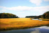 Kings Creek I Poster Print by Alan Hausenflock - Item # VARPDXPSHSF943