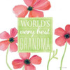 Best Grandma II Poster Print by Stephanie Marrott - Item # VARPDXSM15662