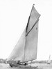 Sailing in Sydney Harbour Poster Print by Anonymous