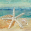 Horizon Shells I Poster Print by Cynthia Coulter - Item # VARPDXRB8291CC