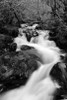 Waterfall II Poster Print by Brian Moore - Item # VARPDXPSMRE129