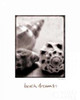 Beach Dreams Poster Print by Sue Schlabach - Item # VARPDX5844