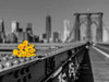 Bunch of roses on Brooklyn Bridge, New York Poster Print by  Assaf Frank - Item # VARPDXAF20131116422C01