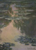 Water Lilies - with Willows Poster Print by  Claude Monet - Item # VARPDX278743