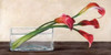 Modern composition Callas Poster Print by Shin Mills - Item # VARPDX2MI1350