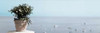 Positano Pano - 2 Poster Print by Alan Blaustein - Item # VARPDXABITH99C