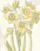 Belle Fleur Yellow IV Crop Poster Print by Sue Schlabach - Item # VARPDX18649