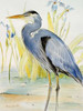 Great Blue Heron Poster Print by Lanie Loreth - Item # VARPDX9781