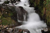 Stream Falls III Poster Print by Logan Thomas - Item # VARPDXPSTMS110