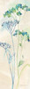 Indigo Wildflowers Panel II Poster Print by Cynthia Coulter - Item # VARPDXRB8842CC