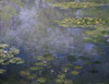 Water Lilies - Nympheas IV Poster Print by  Claude Monet - Item # VARPDX278734