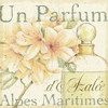 Fleurs and Parfum III Poster Print by Daphne Brissonnet - Item # VARPDX9796