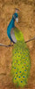 Peacocks II Poster Print by  Josefina - Item # VARPDX8649