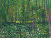 Trees and undergrowth Poster Print by Vincent van Gogh - Item # VARPDX3VG2674