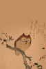 Owl of Branch Poster Print by Unknown - Item # VARPDX342919