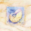 Nautilus Poster Print by Paul Brent