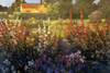 Farm Garden Poster Print by Philip Craig - Item # VARPDX8157