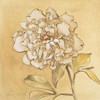 Fragrant Notes II Poster Print by Lanie Loreth - Item # VARPDX6766