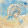 Watercolor Shells II Poster Print by Cynthia Coulter - Item # VARPDXRB7429CC