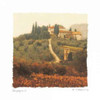 Campagna I Poster Print by Amy Melious - Item # VARPDXMEL247