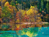 Forest in autumn colours, Sichuan, China Poster Print by  Frank Krahmer - Item # VARPDX3FK3160