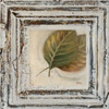 Flowers and Leaves Square VIII Poster Print by Patricia Pinto - Item # VARPDX6469D