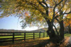 Hillside Farm I Poster Print by Alan Hausenflock - Item # VARPDXPSHSF941