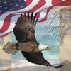 Freedom I Poster Print by Todd Williams - Item # VARPDXTWM100