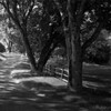 http://c328301.r1.cf1.rackcdn.com/PDXPSHSF620SMALL.jpg