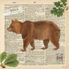 Lodge Collage II Poster Print by  Katie Pertiet - Item # VARPDX24134