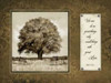 We Do Poster Print by Stephanie Marrott - Item # VARPDXSM8393