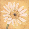 Gerber IV Poster Print by  Stephanie Marrott - Item # VARPDXSM199