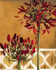 Red Lily of the Nile II Poster Print by Patricia Pinto - Item # VARPDX8853B