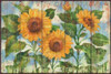 Summer Sunflowers Poster Print by Paul Brent - Item # VARPDXBNT848