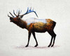 Rocky Mountain Elk Poster Print by  Davies Babies - Item # VARPDXD940D