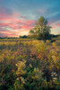 Grateful for The Day Poster Print by John Rivera - Item # VARPDXR1045D